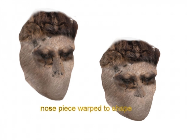 Creation of camelio: Step 6